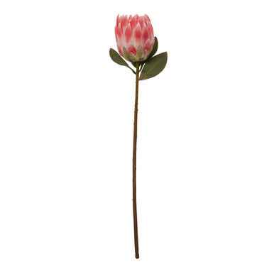 Fiori 62cm Protea Pink Stem