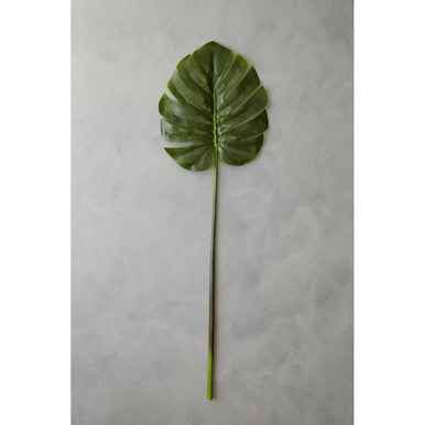 Fiori 109cm Green Stem Monstera Palm