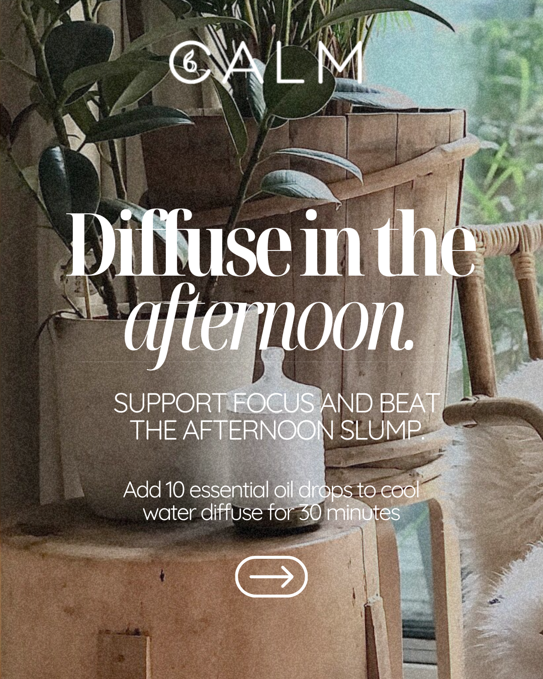 Aroma Diffuser with our Live Calm Oil Set - Energy & Immunity Boost