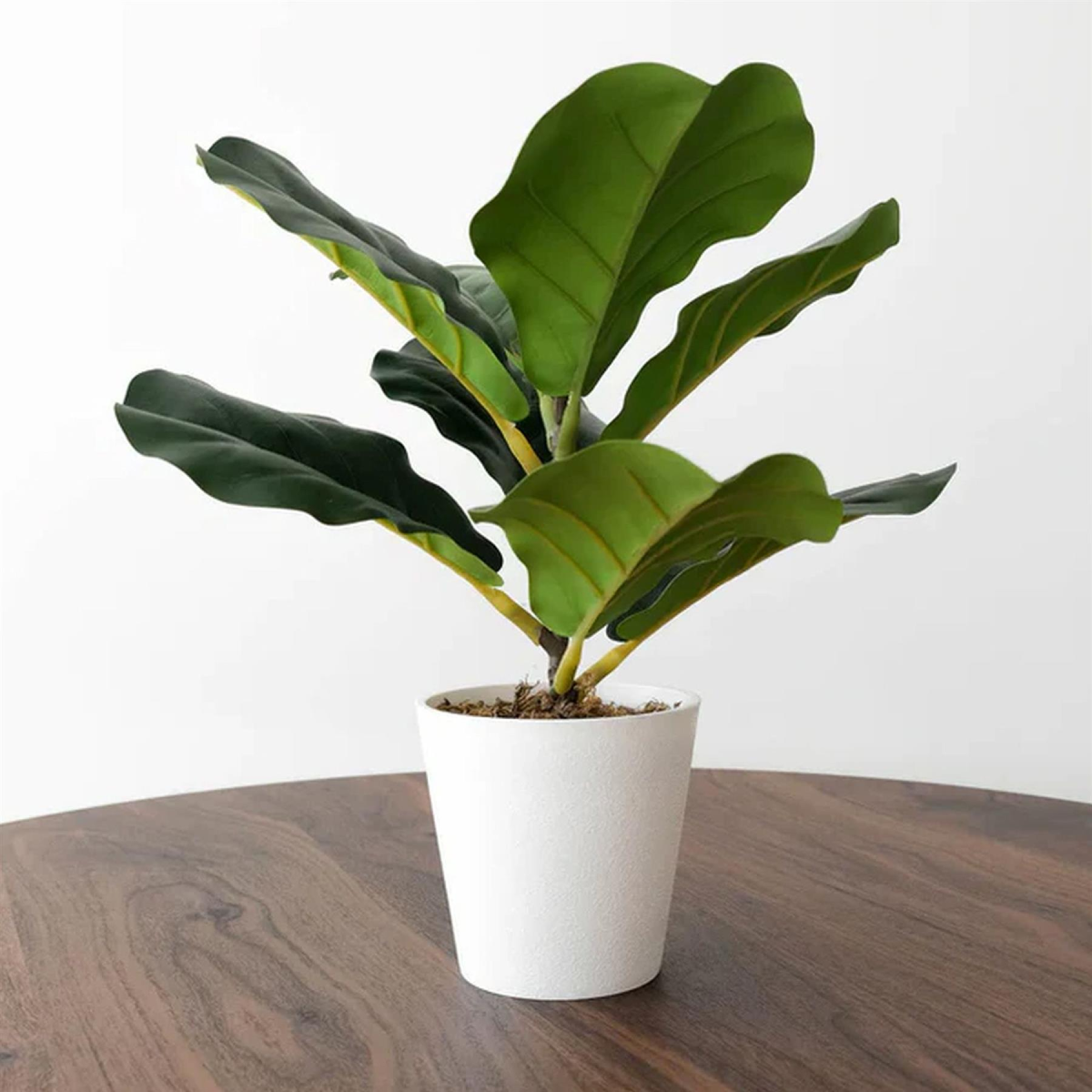 38cm Potted Artificial Fiddle Fig Plant