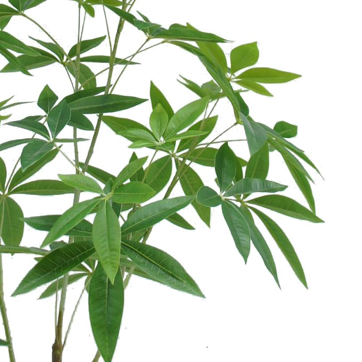 120cm Artificial Money Plant Pachira Realistic Faux Tree