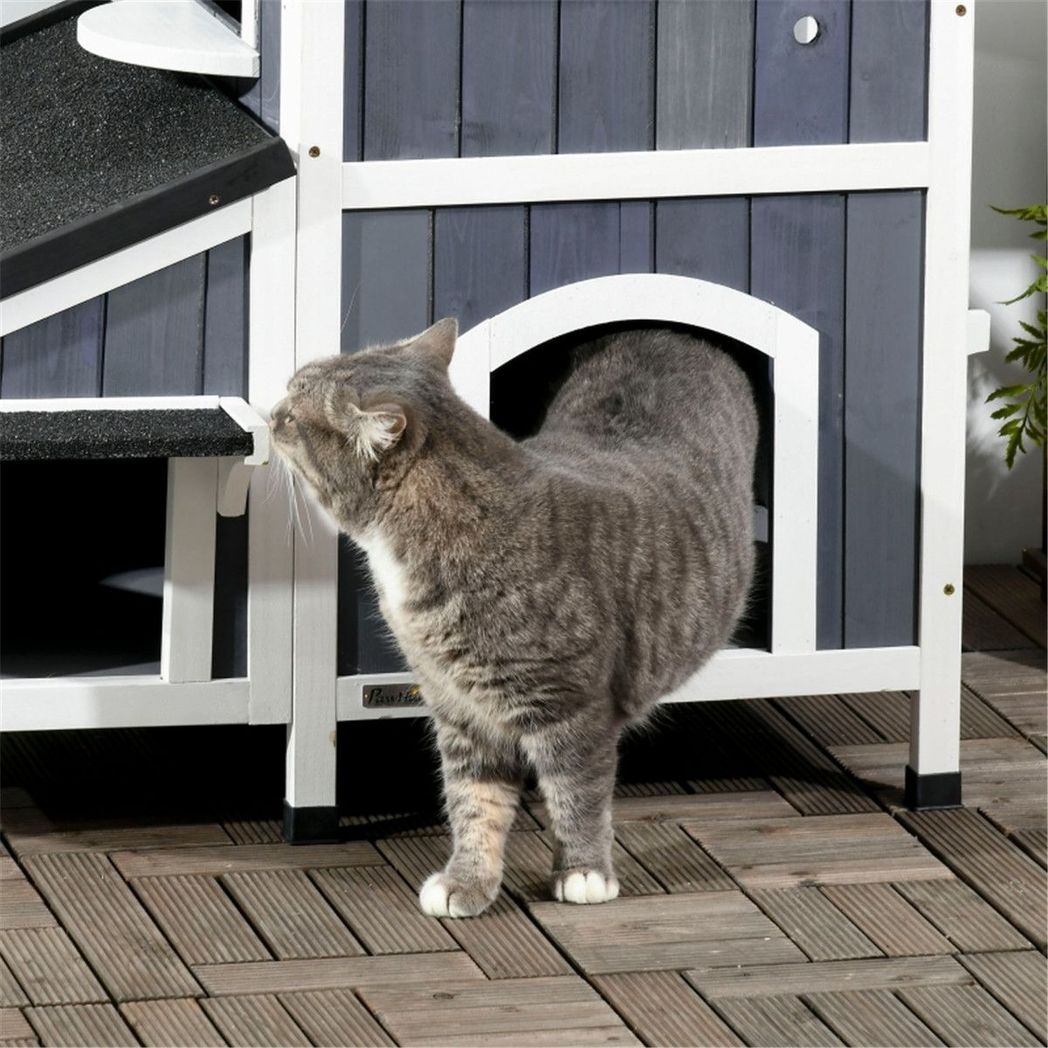 Cat House