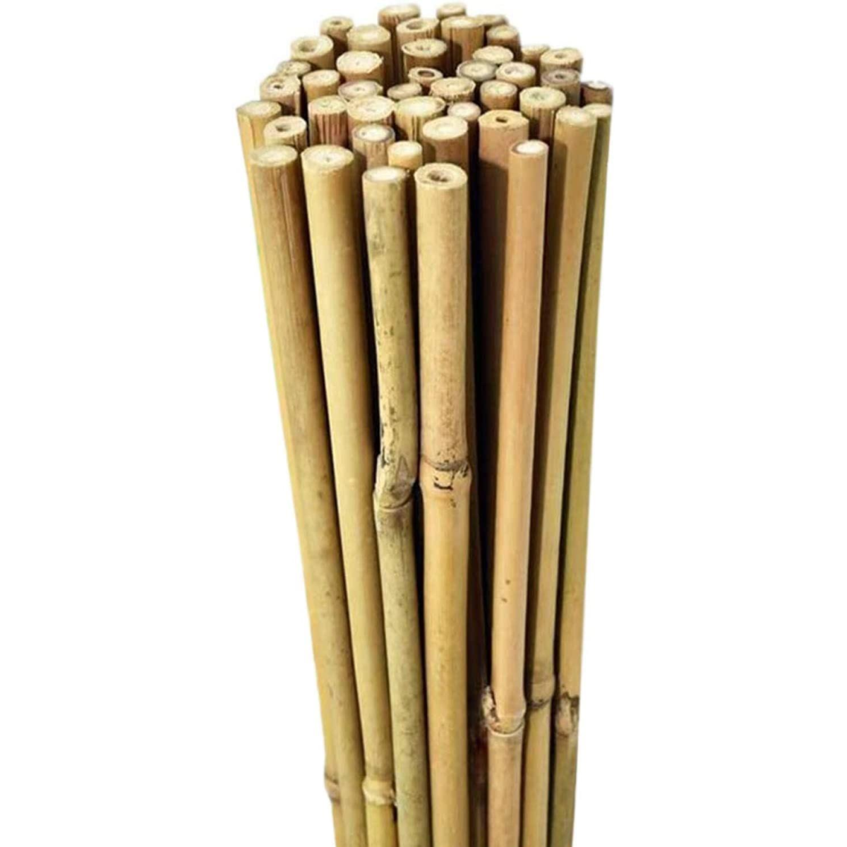 6FT (180cm) Bamboo Cane ONE PIECE