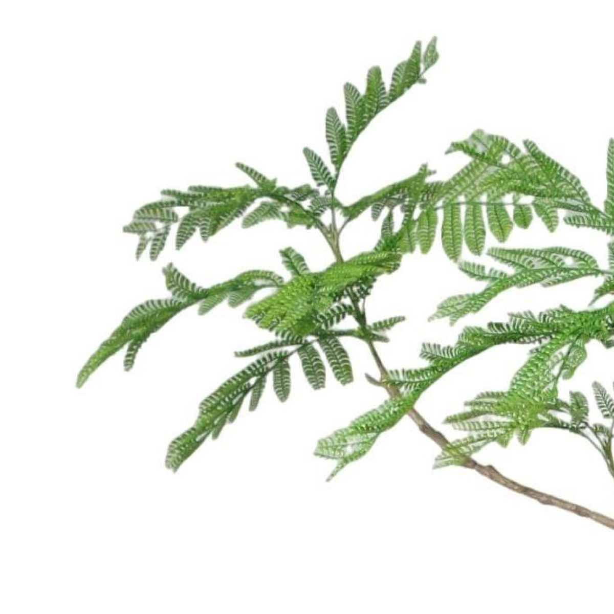 240cm Artificial Jacaranda Realistic Artificial Tree