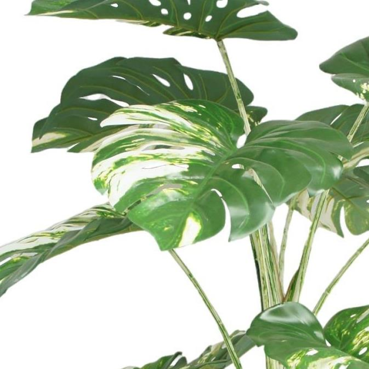 180cm Variegated Monstera Realistic Artificial Tree