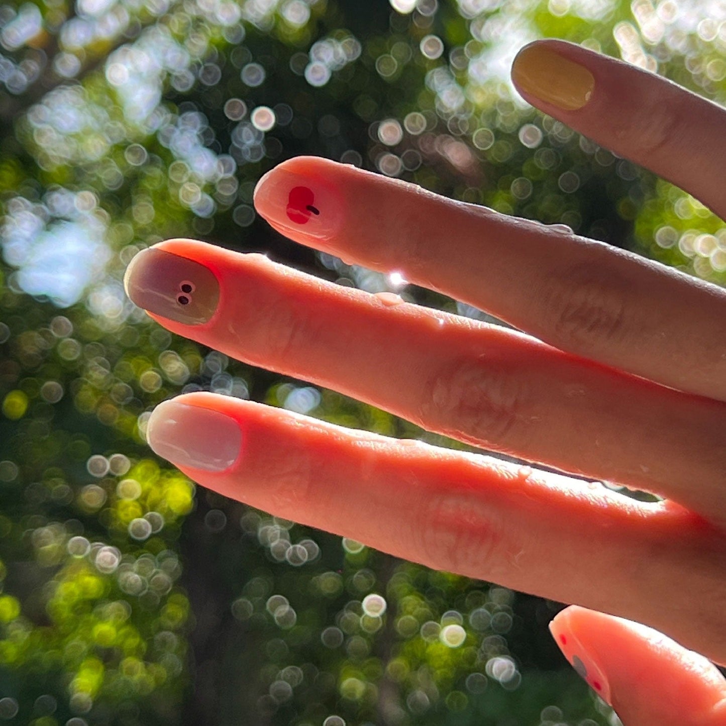 Now Now | Little Elephant Paradise Nail Wraps