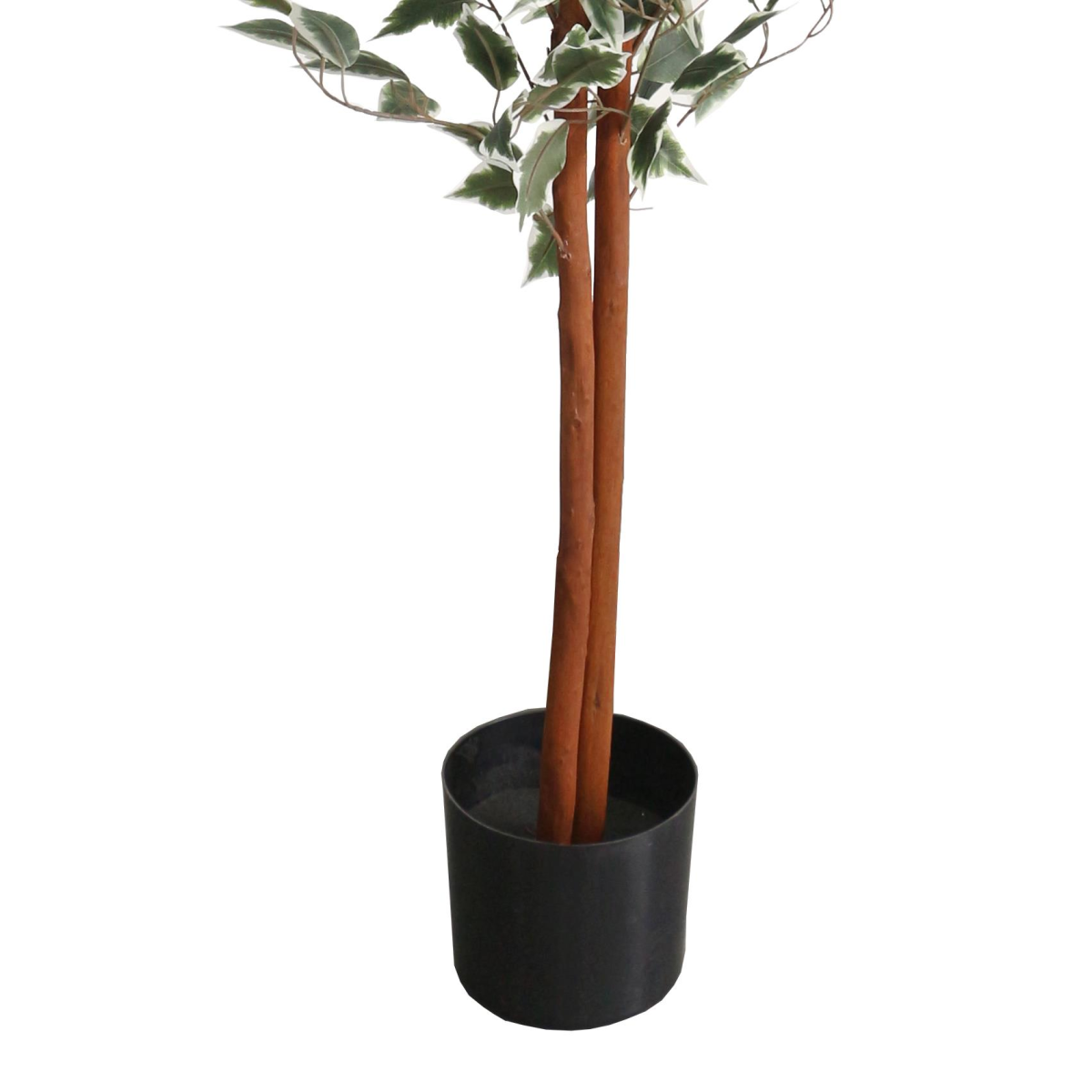160cm Artificial Ficus with Natural Variegated Leaves