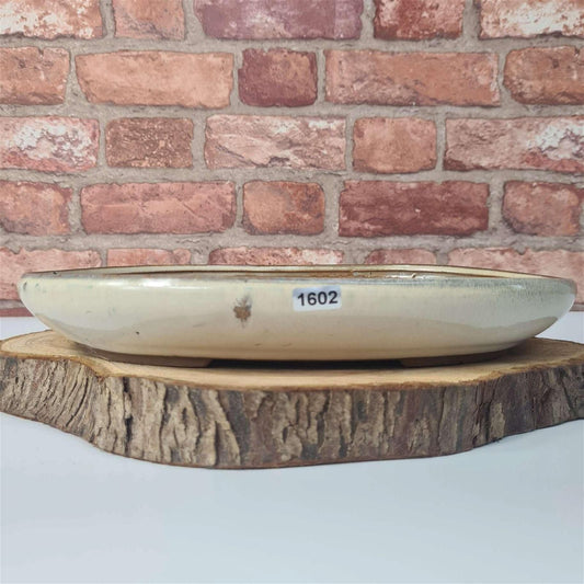 31cm Glazed Bonsai Pot | Oval | 31cm x 22cm x 4.5cm | White