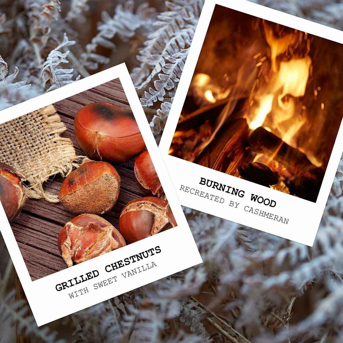 Unisex Perfume Maison Margiela REPLICA BY THE FIREPLACE