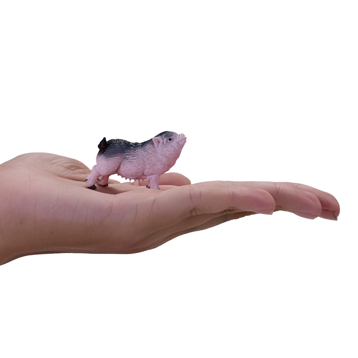 Pot-Bellied Piglet Toy Realistic Farm Animal Model