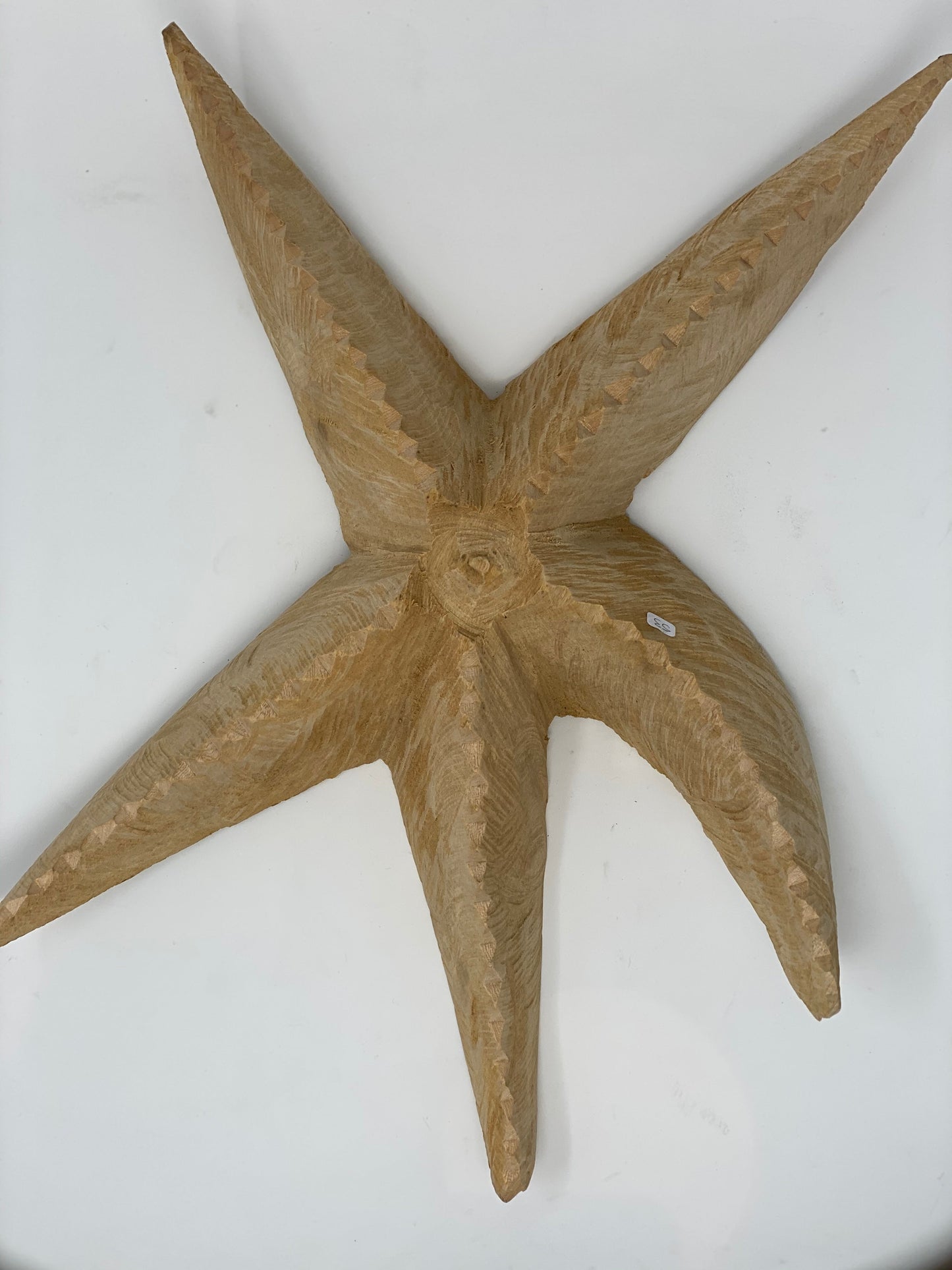 Swazi Starfish