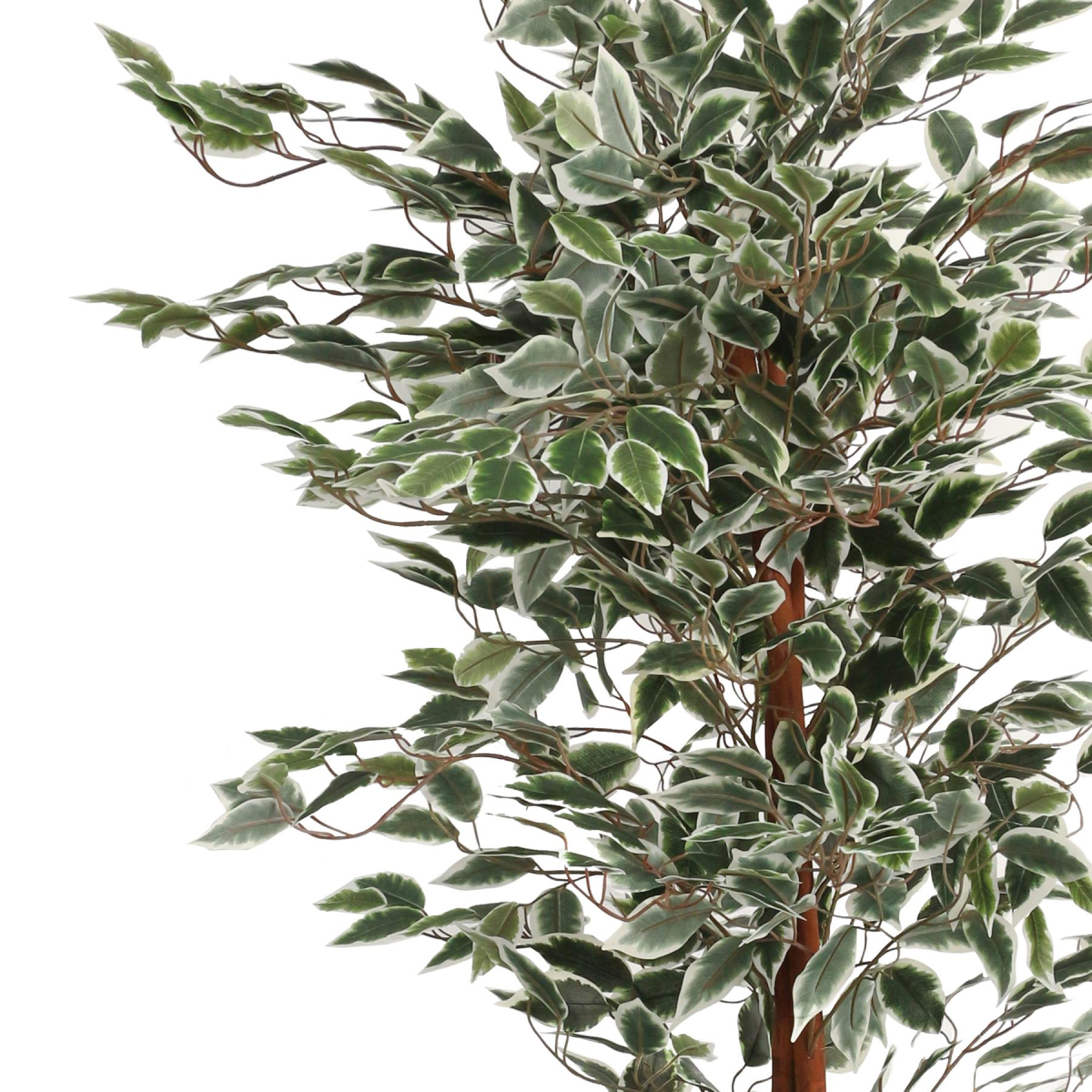 160cm Artificial Ficus with Natural Variegated Leaves