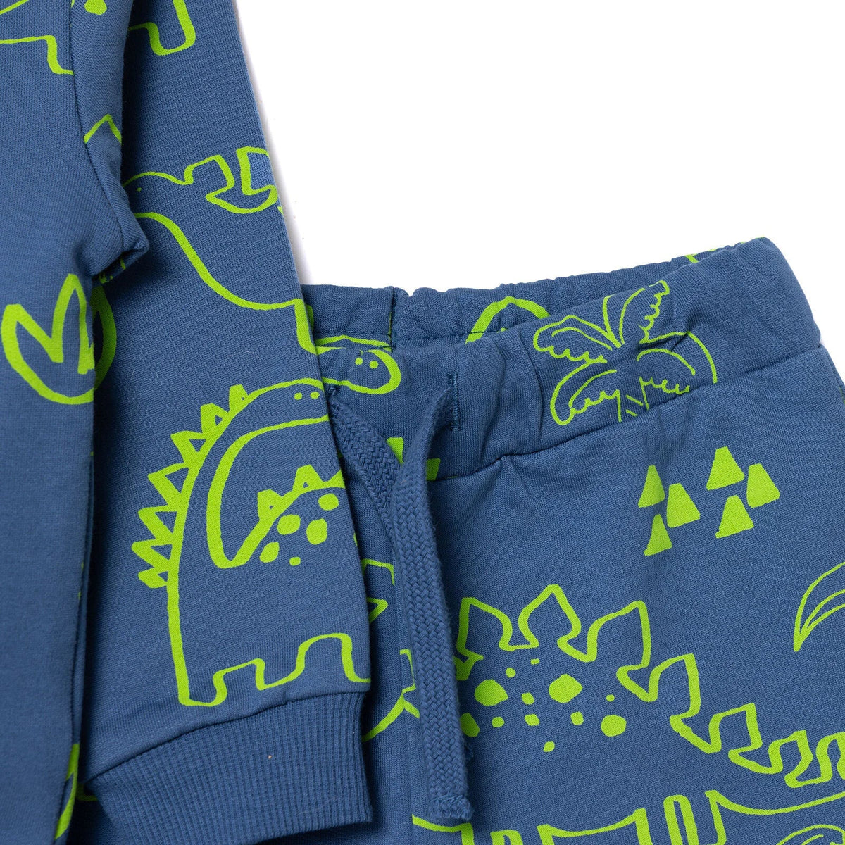 HelloBaby Dinosaur Print Brushed Baby Sweatshirt & Joggers Set (3-6 Months to 4-5 Years)