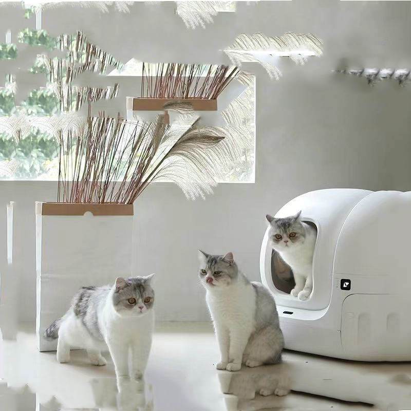 Automatic Cat Litter Box
