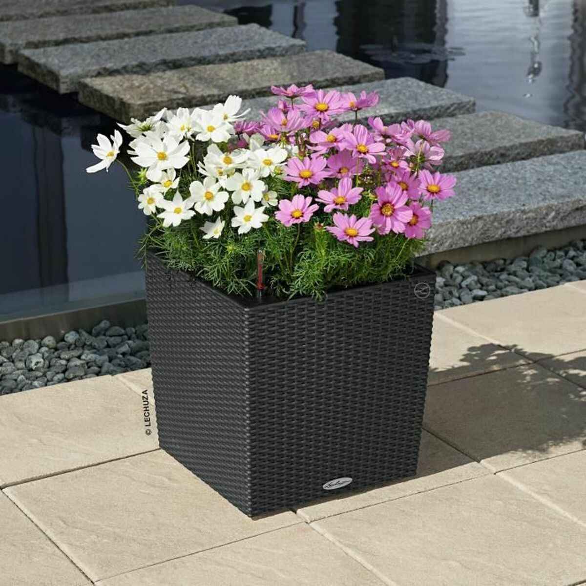 Plant pot Lechuza Black Grey polypropylene