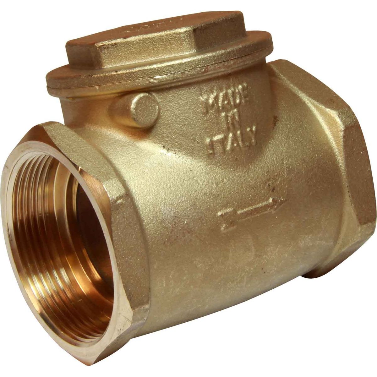 Maestrini Brass Inline Swing Check Valve (Female / 2-1/2" BSP) 406709