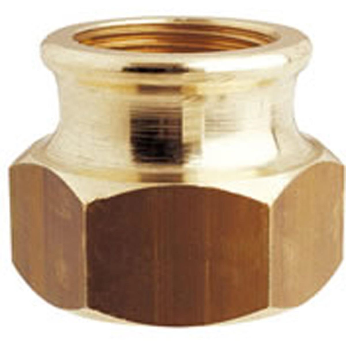 Maestrini Brass Reducing Socket (Female Ports / 1" - 1/2" BSP) 407229