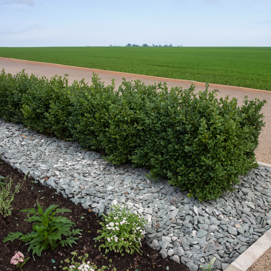 40mm Green Slate Chippings