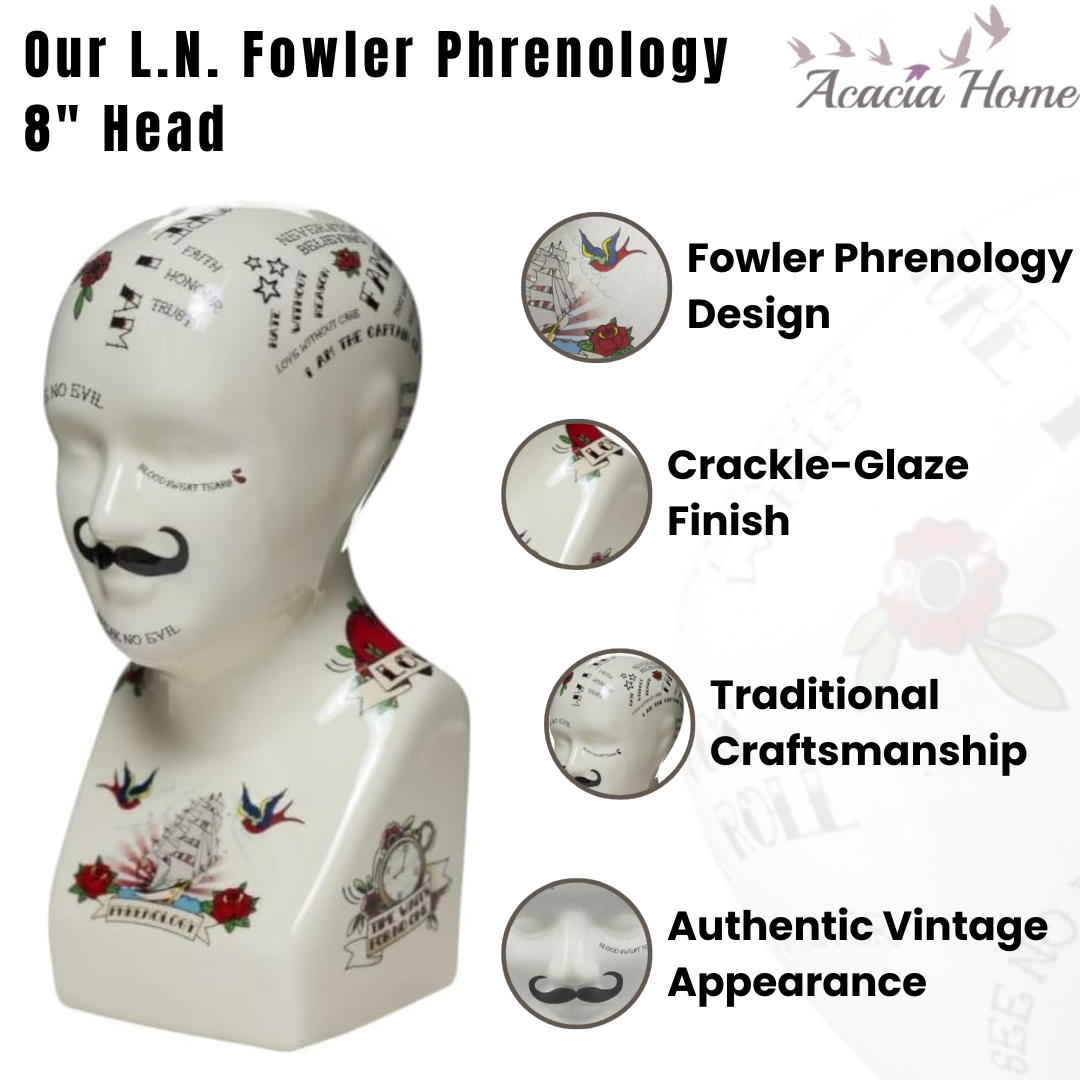 8" PHRENOLOGY HEAD