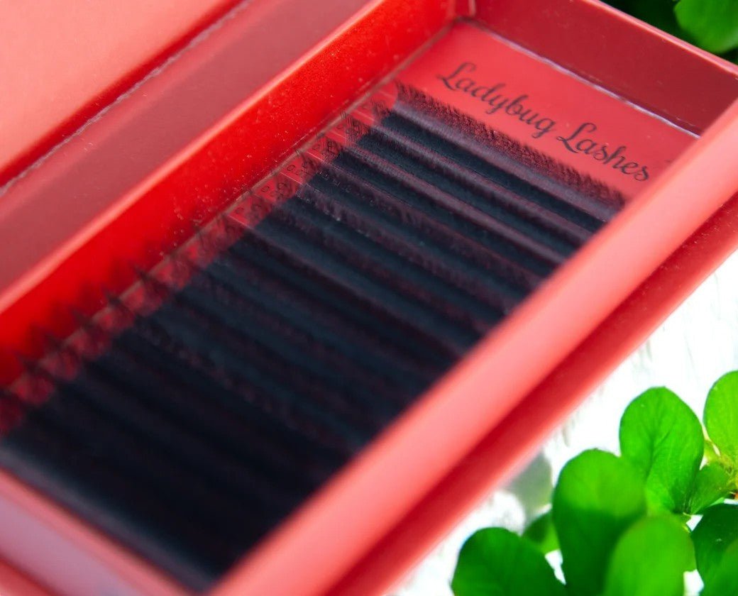 4D Clover Lash Single Length