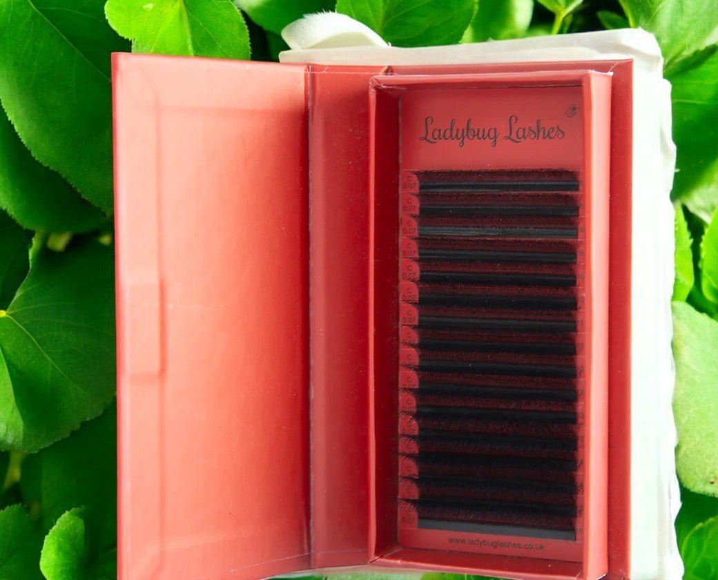 4D Clover Lash Single Length