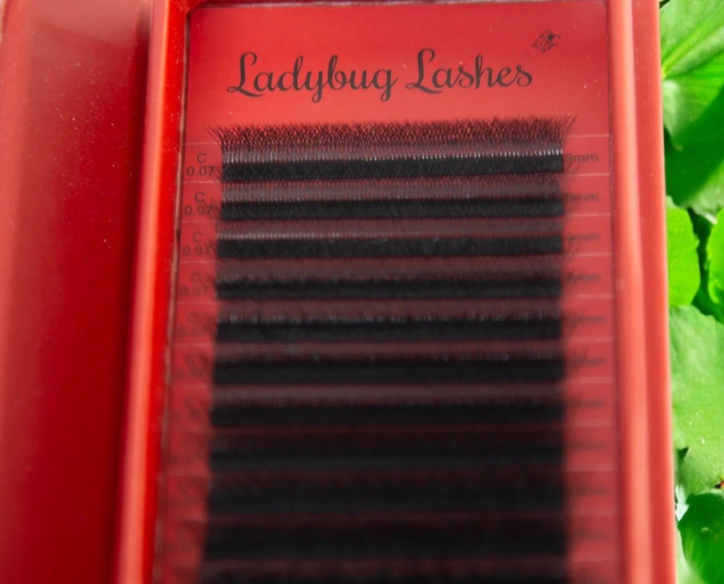 4D Clover Lash Single Length