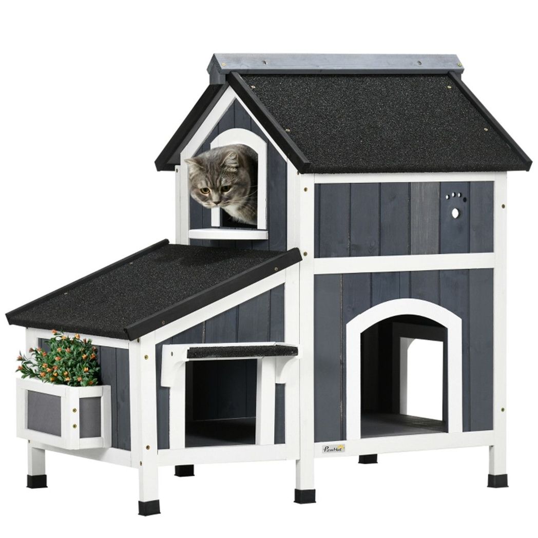 Cat House