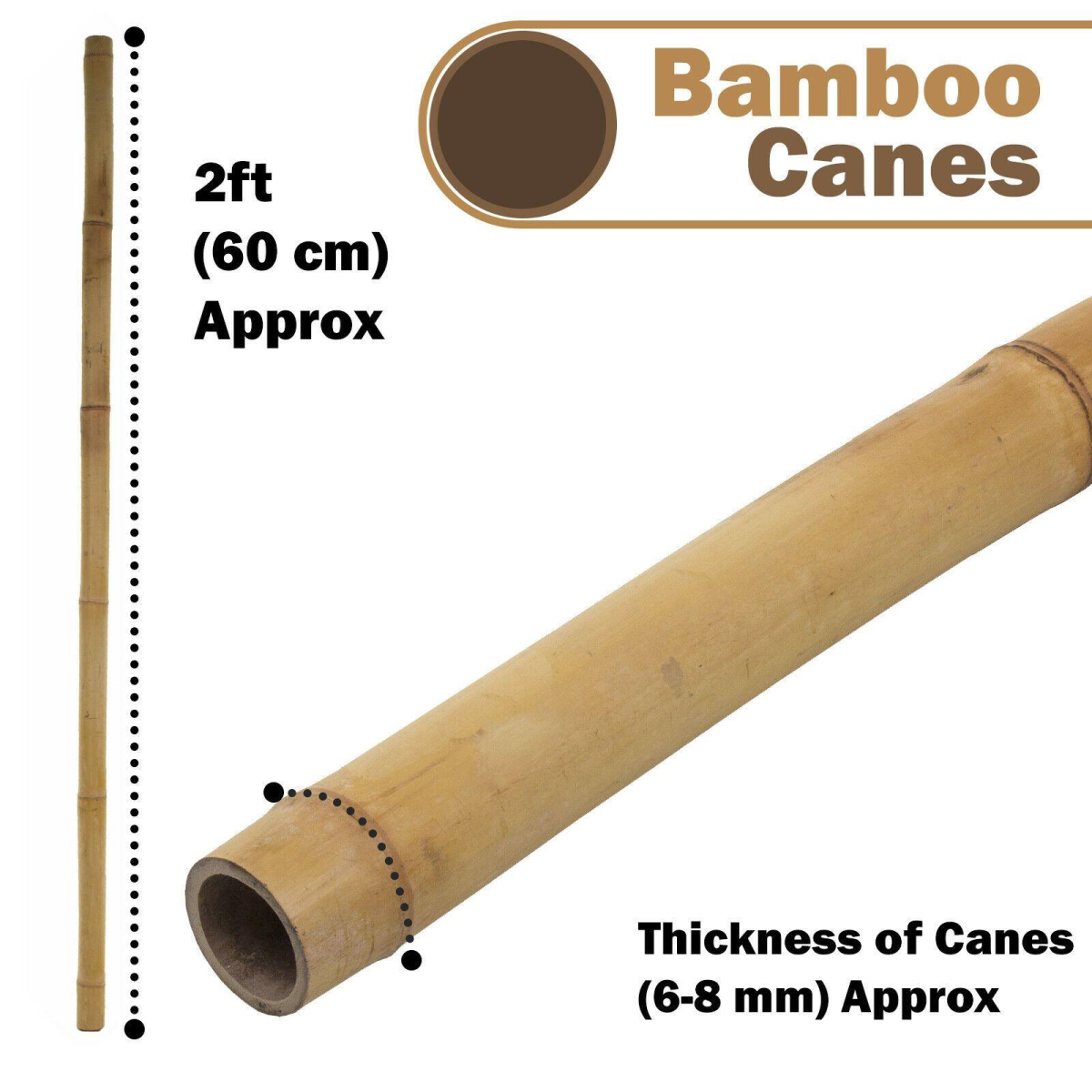 6FT (180cm) Bamboo Cane ONE PIECE