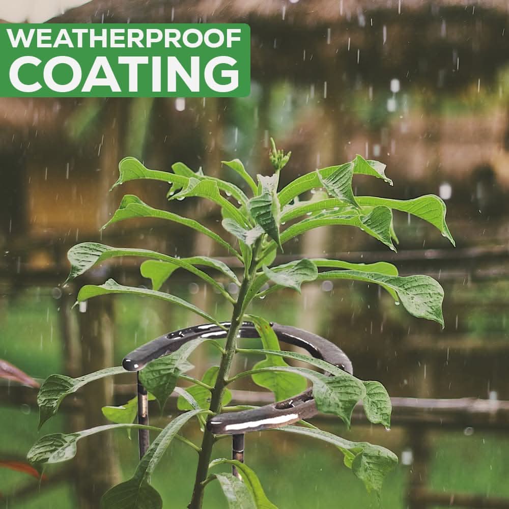 2pc Horseshoe Plant Stakes