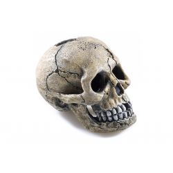 Classic Spooky Skull 8.5cm - Case of 4