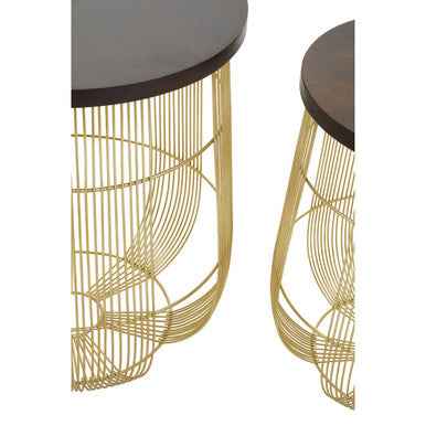 Agra Set Of 2 Side Tables In Mango Wood And Brass Finish