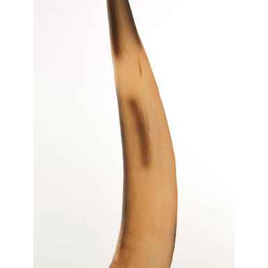 Boho Small Natural Horn Ornament