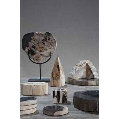 Relic Petrified Wood Sculpture