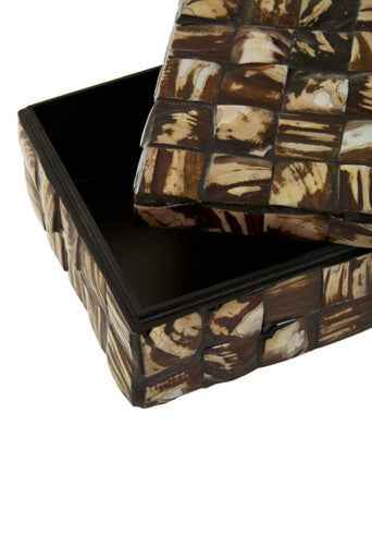 Branna Small Natural Shell Detail Box
