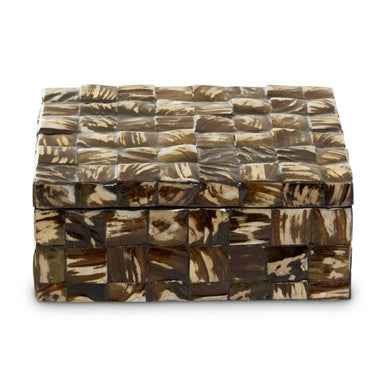 Branna Large Natural Shell Detail Box