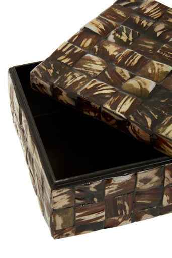Branna Large Natural Shell Detail Box