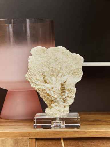 Baila Large Matte Pink Glass Vase