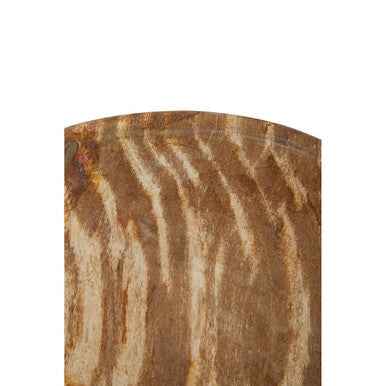 Relic Petrified Wood Small Bowl