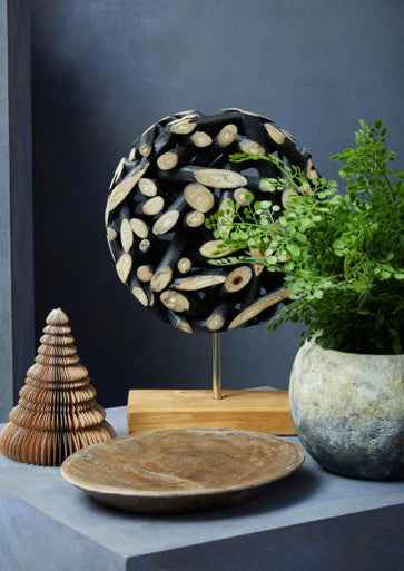 Relic Petrified Wood Large Bowl