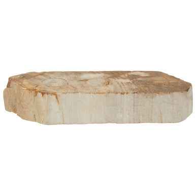 Relic Petrified Wood 3 Tealight Holder
