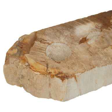 Relic Petrified Wood 3 Tealight Holder