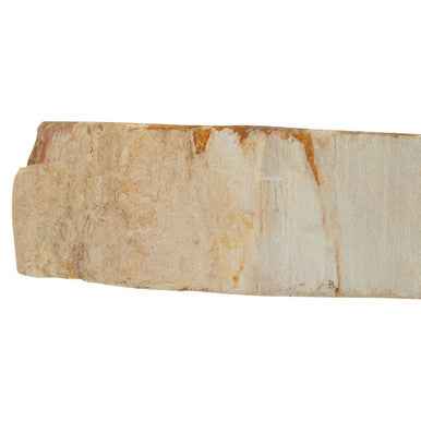 Relic Petrified Wood 3 Tealight Holder