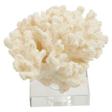 Boho Large White Coral