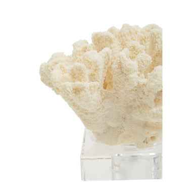 Boho Large White Coral