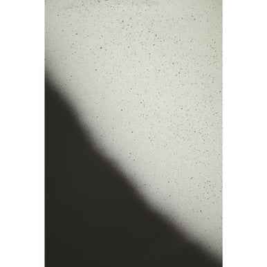 Ramus Black And White Ombre Bowl