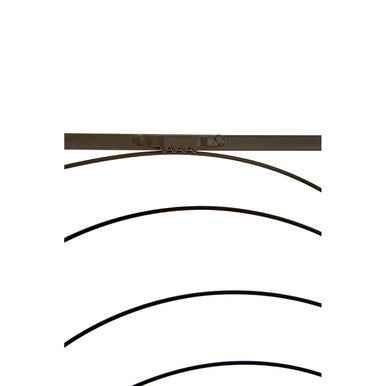 Trento Small Black Leaf Design Wall Art