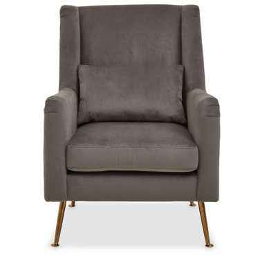 Doucet Grey Velvet Chair With Gold Finish Legs