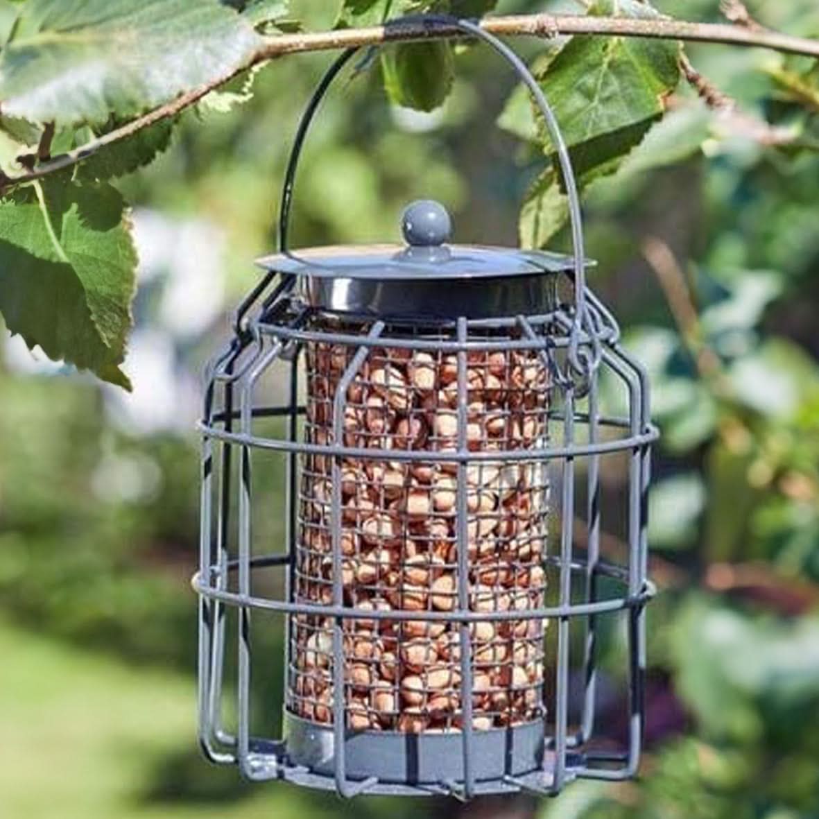 Bird Peanut Feeder Cage