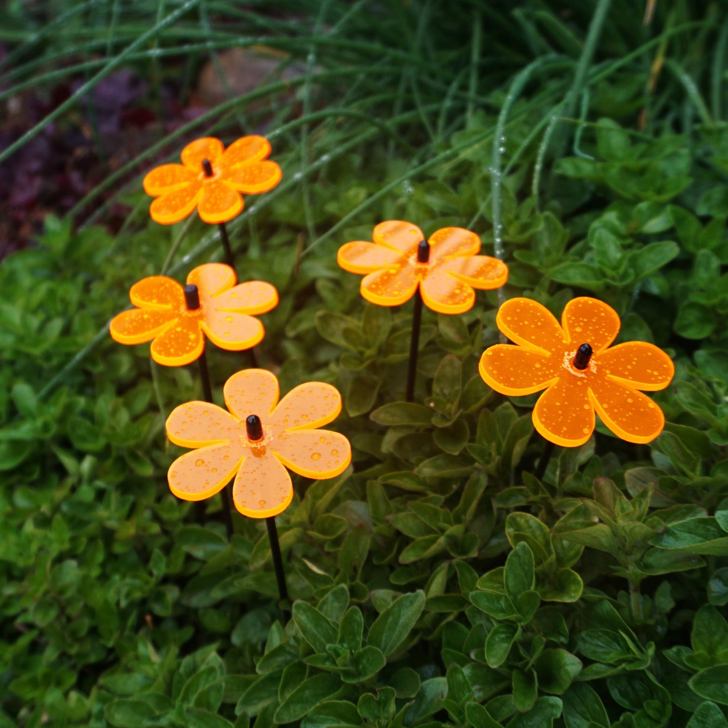 Small Garden Décor Ornaments Set of 5 Daisy