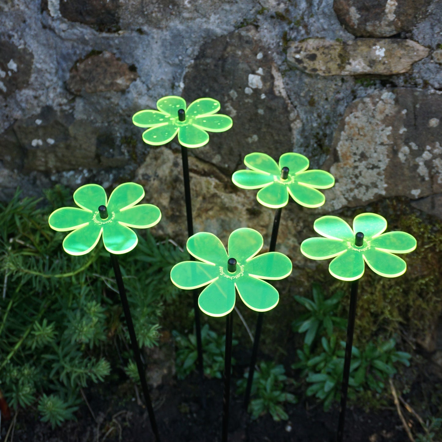 Garden Décor Ornaments Set of 5 'Daisies'